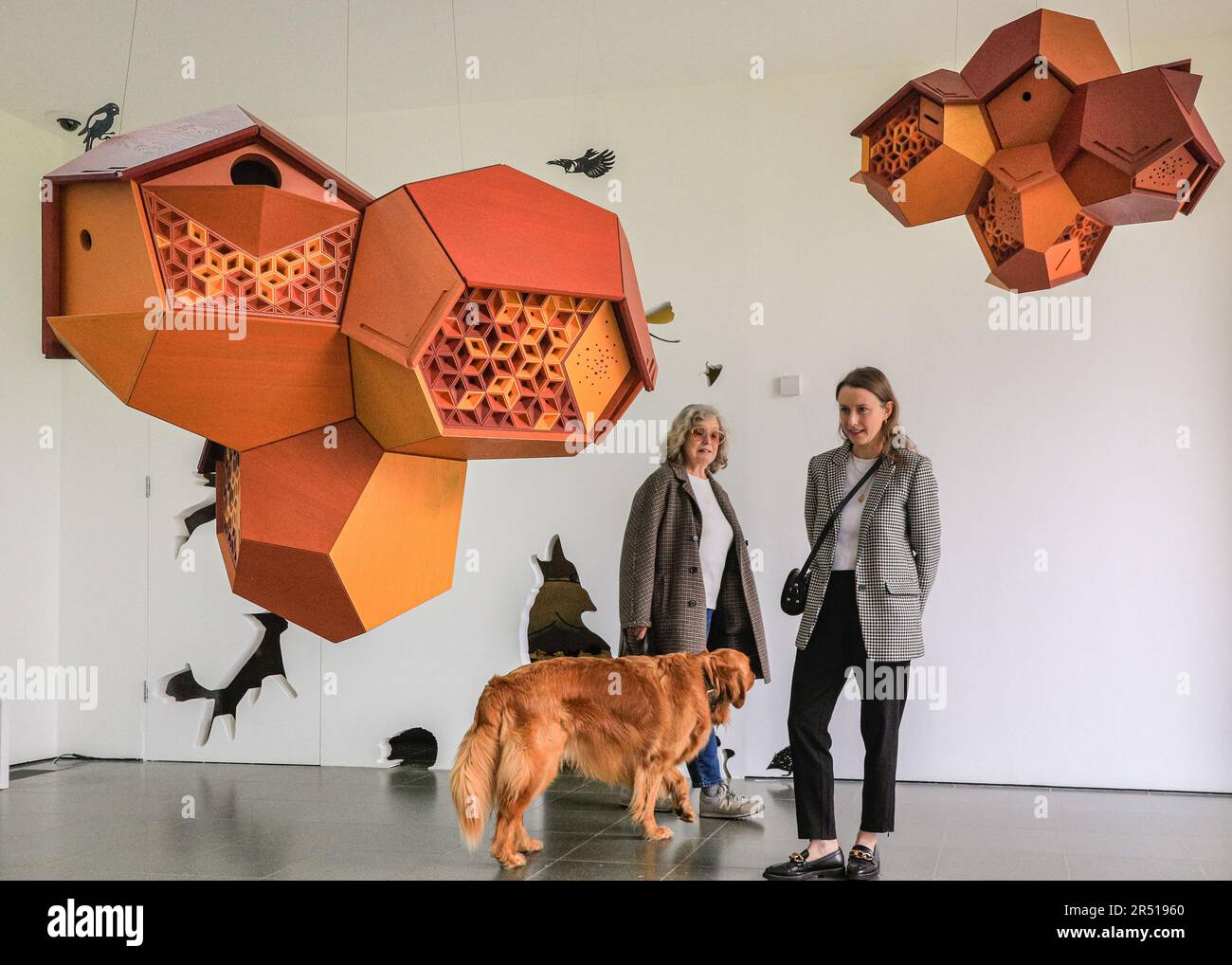 Londres, Royaume-Uni. 31st mai 2023. Le personnel de la galerie avec des éléments intérieurs des installations, où les animaux sont encouragés à se déplacer, sauvages ou domestiques. Une nouvelle sculpture à grande échelle et d'autres œuvres dans la galerie par Tomás Saraceno, créé comme un habitat pour la faune de Hyde Park, est dévoilé par l'artiste. La nouvelle exposition de Tomás Saraceno à Serpentine South invite également la biodiversité du parc et la visite des animaux dans la galerie pour la première fois, y compris les chiens avec leurs propriétaires, et d'autres animaux sauvages. Crédit : Imagetraceur/EMPICS/Alamy Live News Banque D'Images