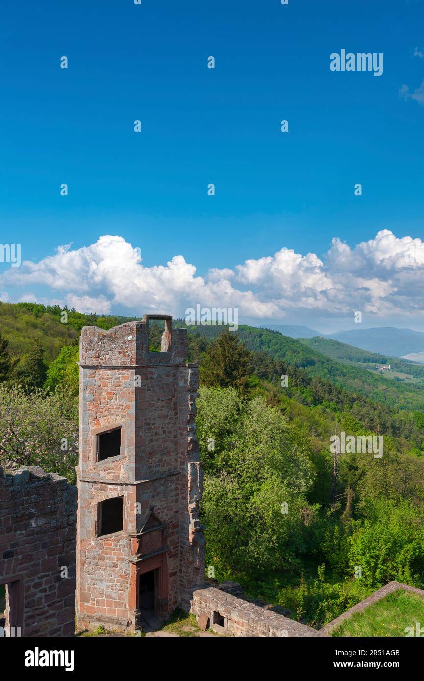 Partie des ruines de Madenburg en face du paysage de la forêt du Palatinat, Eschbach, Palatinat, Rhénanie-Palatinat, Allemagne, Europe Banque D'Images