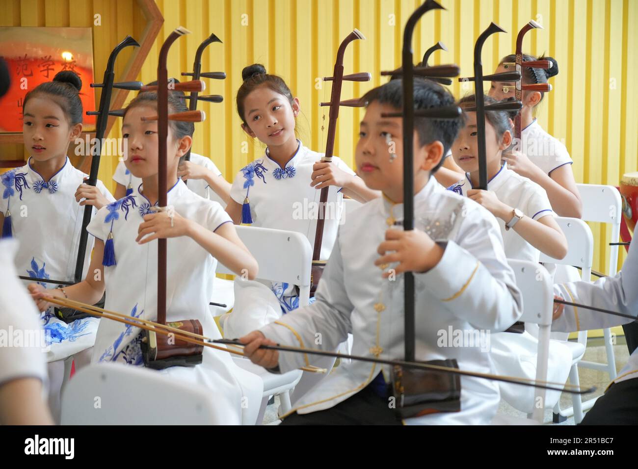 Les 5 Meilleurs Erhus (Instrument Traditionnel Chinois