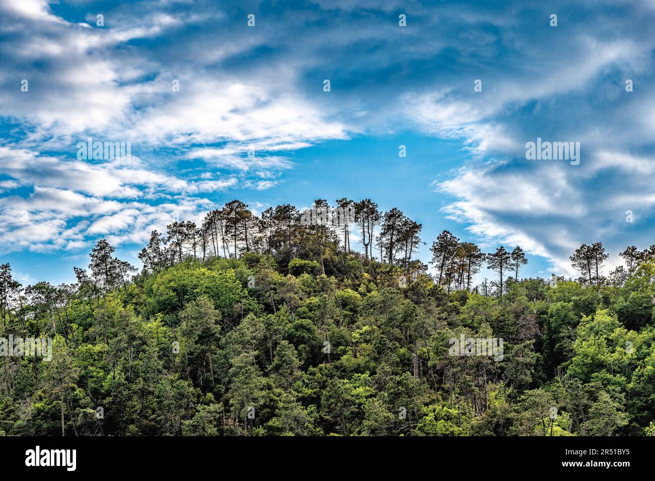 Collines montagnes et arbres à Levanto Cinque Terre, Italie Banque D'Images