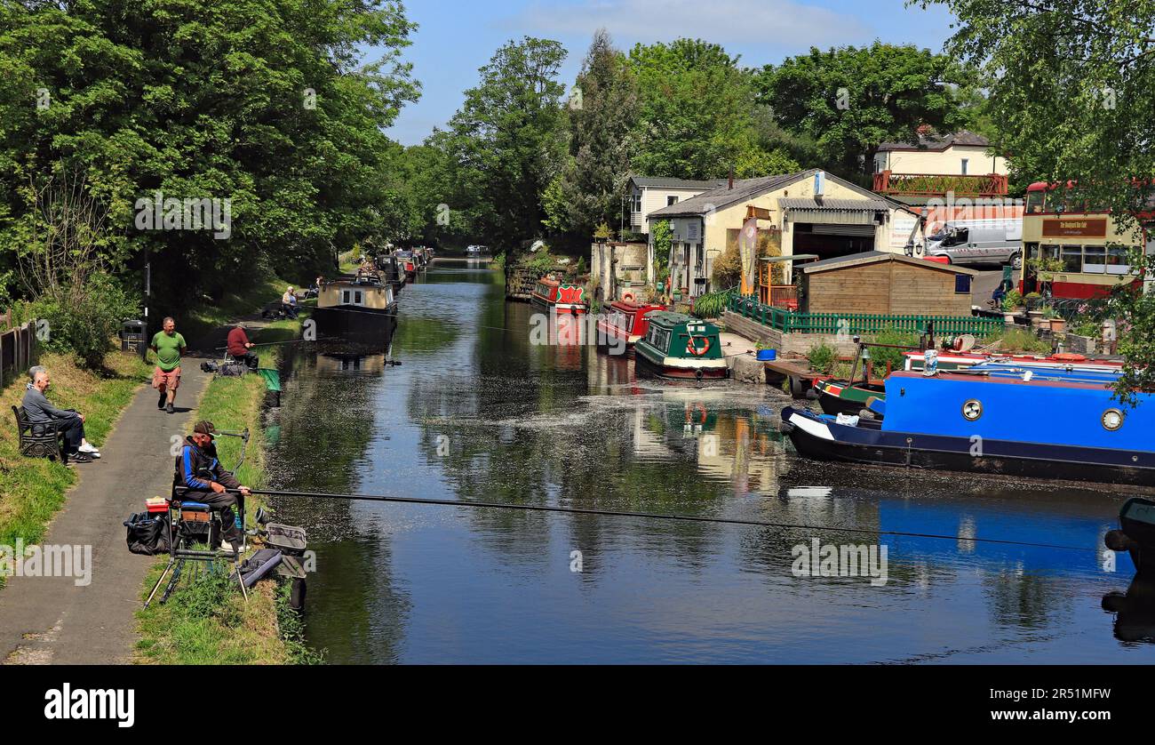 Au cours d'un après-midi de printemps chaud, il y a un match de pêche en cours près du pont de Rawlinson Road sur le canal de Leeds et Liverpool près d'Adlington. Banque D'Images