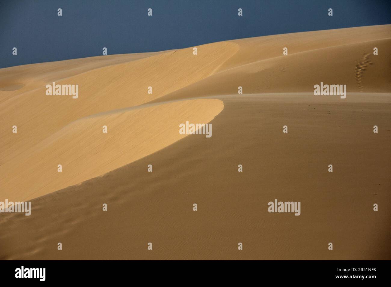 Parc national de Lençóis Maranhenses, brésil Banque D'Images