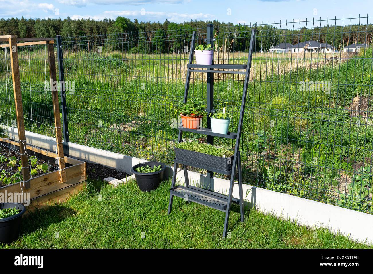 Une fleur métallique se penche contre une clôture, des pots visibles avec des fraises, des naturtiums et du matthiola incana. Banque D'Images