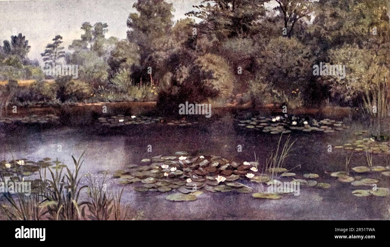 L'étang de l'eau-Lily peint par T. Mower Martin (Thomas Mower Martin) du livre « Kew Gardens » d'Ascott Robert Hope Moncrieff publié à Londres par Adam et Charles Black en 1908 Banque D'Images