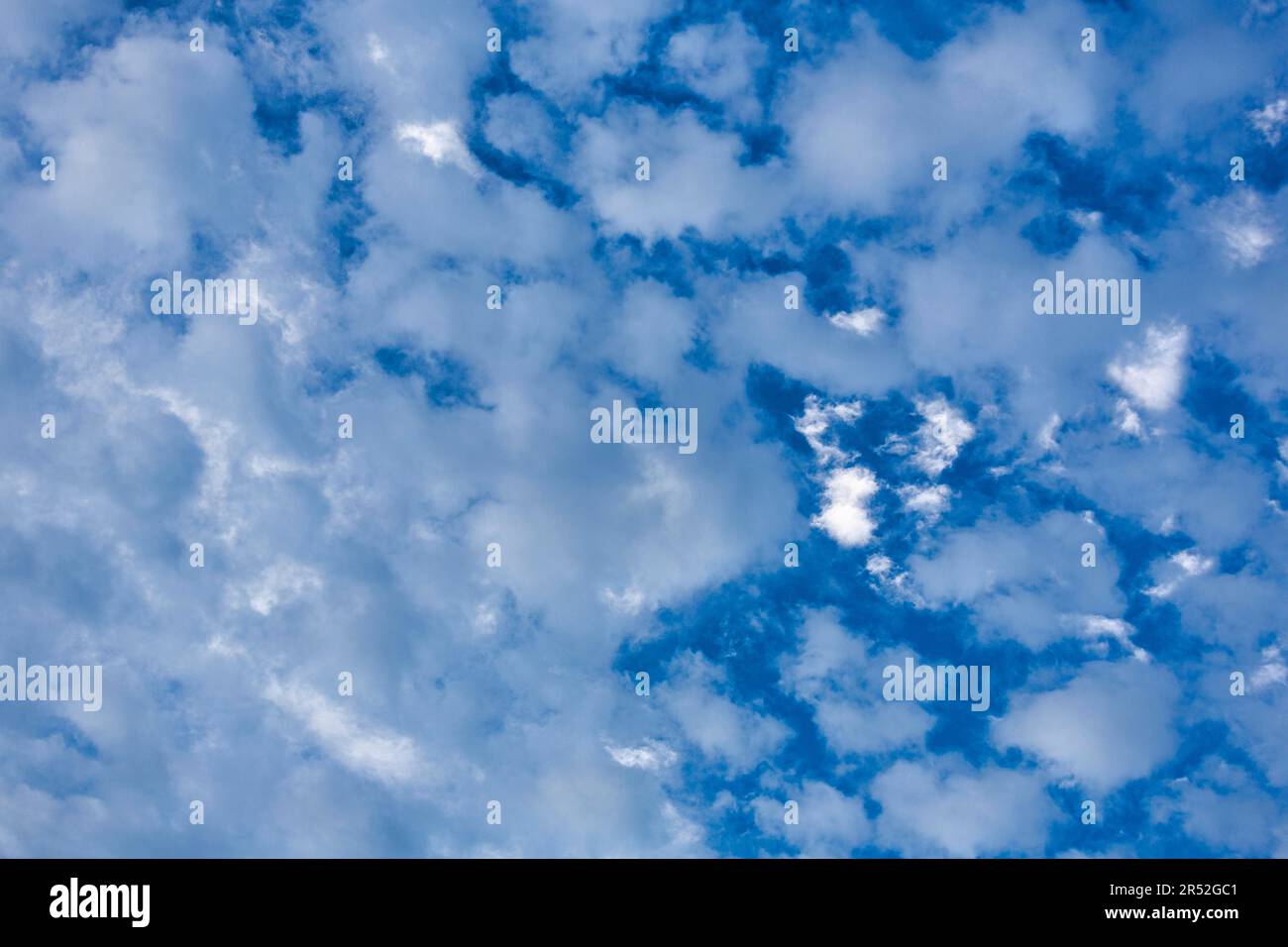 Nuages (Cumulus), couverture nuageuse, Douvres, Angleterre, Grande-Bretagne  Photo Stock - Alamy