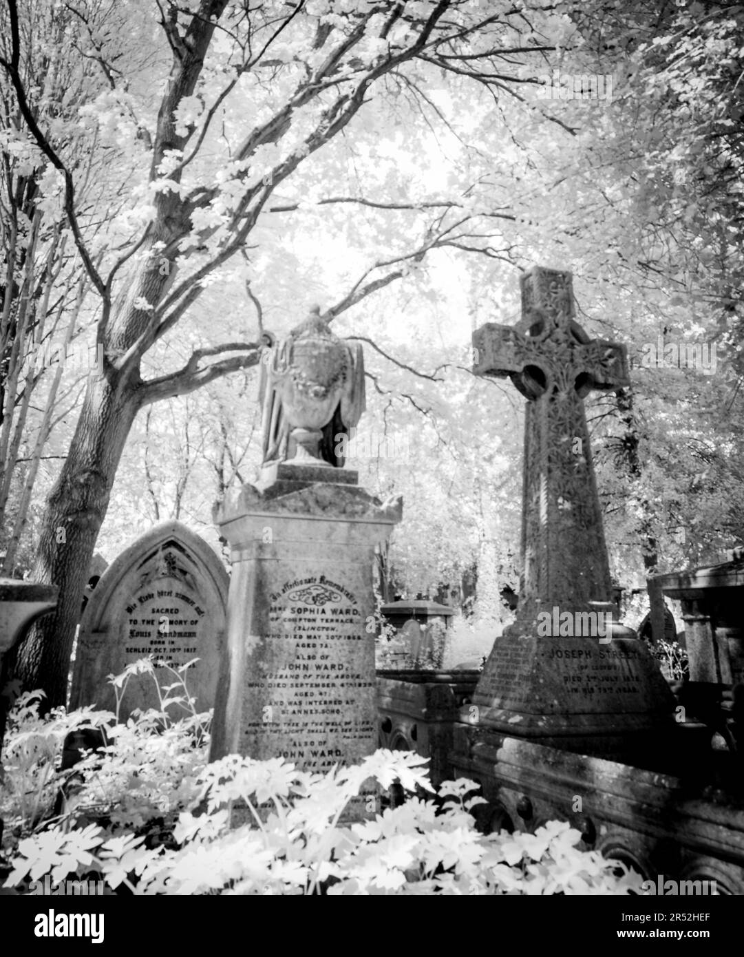 Tombes dans Highgate Cemetery West, Londres Banque D'Images