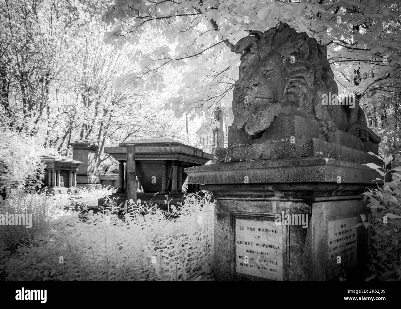 Tombe de George Wombwell avec statue de ce qui peut être son lion Nero, Highgate Cemetery West, Londres Banque D'Images