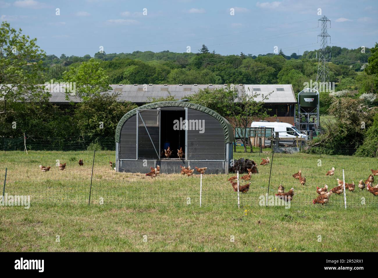 Ducks Hill Farm est une ferme d'oeufs gratuite dans Northwood près de Londres, vendant leurs oeufs via un distributeur automatique. Les hangars mobiles sont alimentés par l'énergie solaire. Banque D'Images