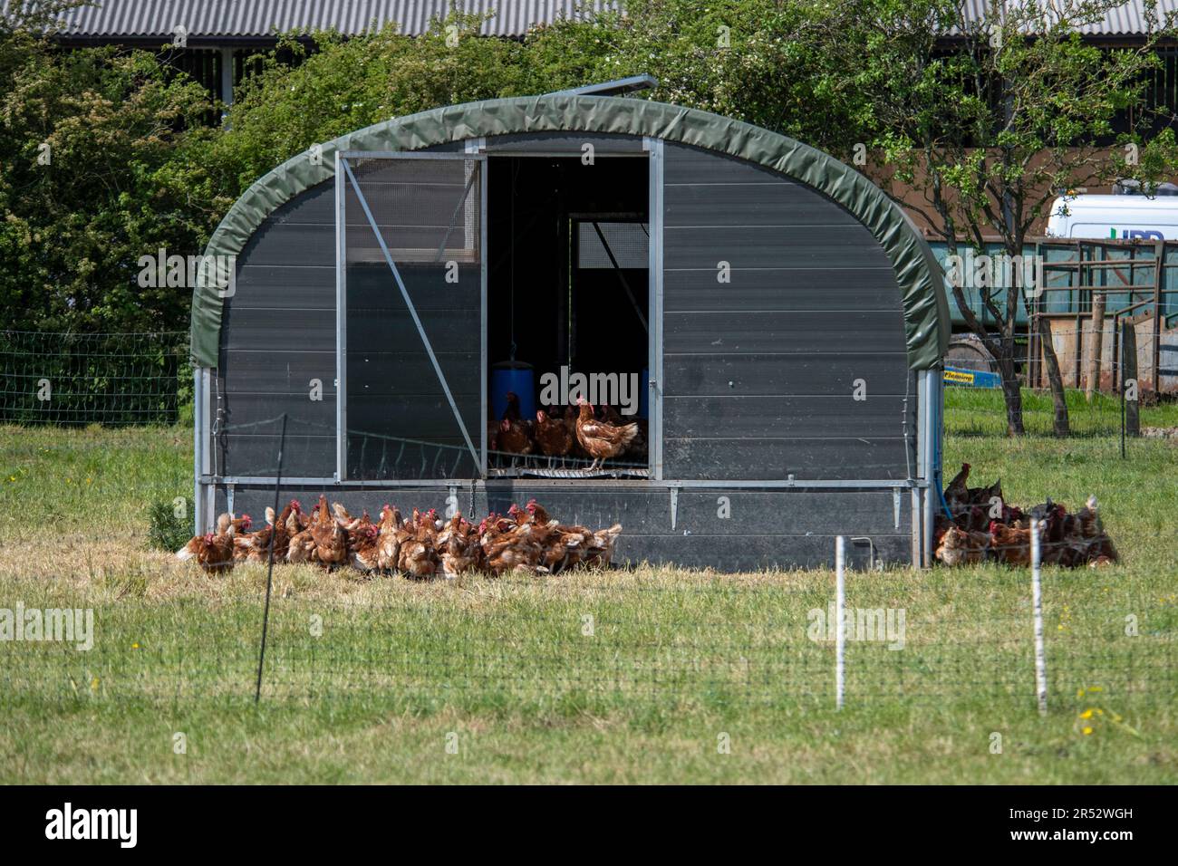 Ducks Hill Farm est une ferme d'oeufs gratuite dans Northwood près de Londres, vendant leurs oeufs via un distributeur automatique. Les hangars mobiles sont alimentés par l'énergie solaire. Banque D'Images