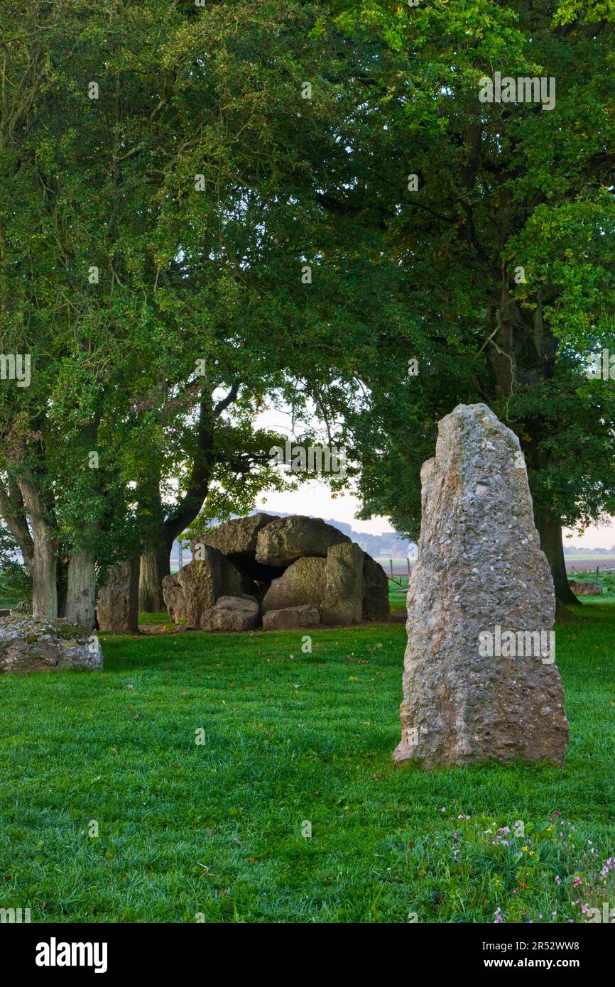 Menhir, Weris, Monolith, Megalith, Belgique Banque D'Images