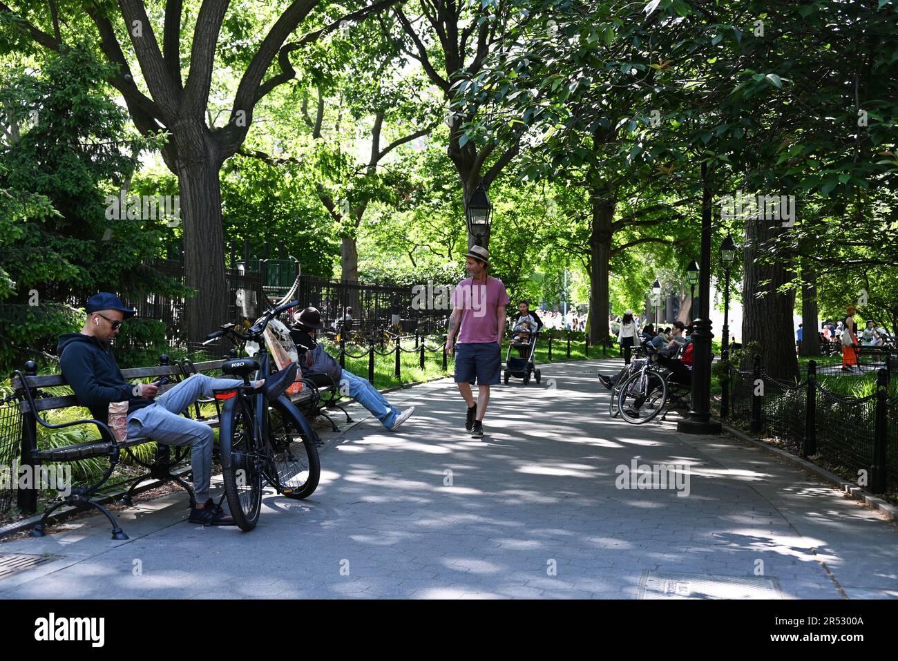 Les visiteurs se détendent sur les bancs du parc le long d'un chemin ombragé dans le parc Washington Square à New York. Banque D'Images