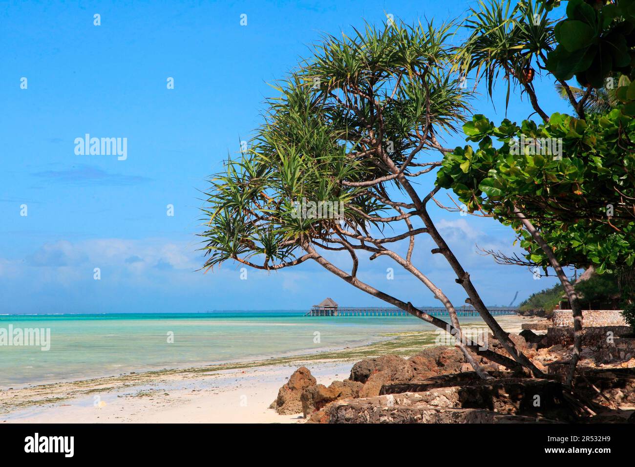 Océan Indien, Zanzibar, Tanzanie Banque D'Images