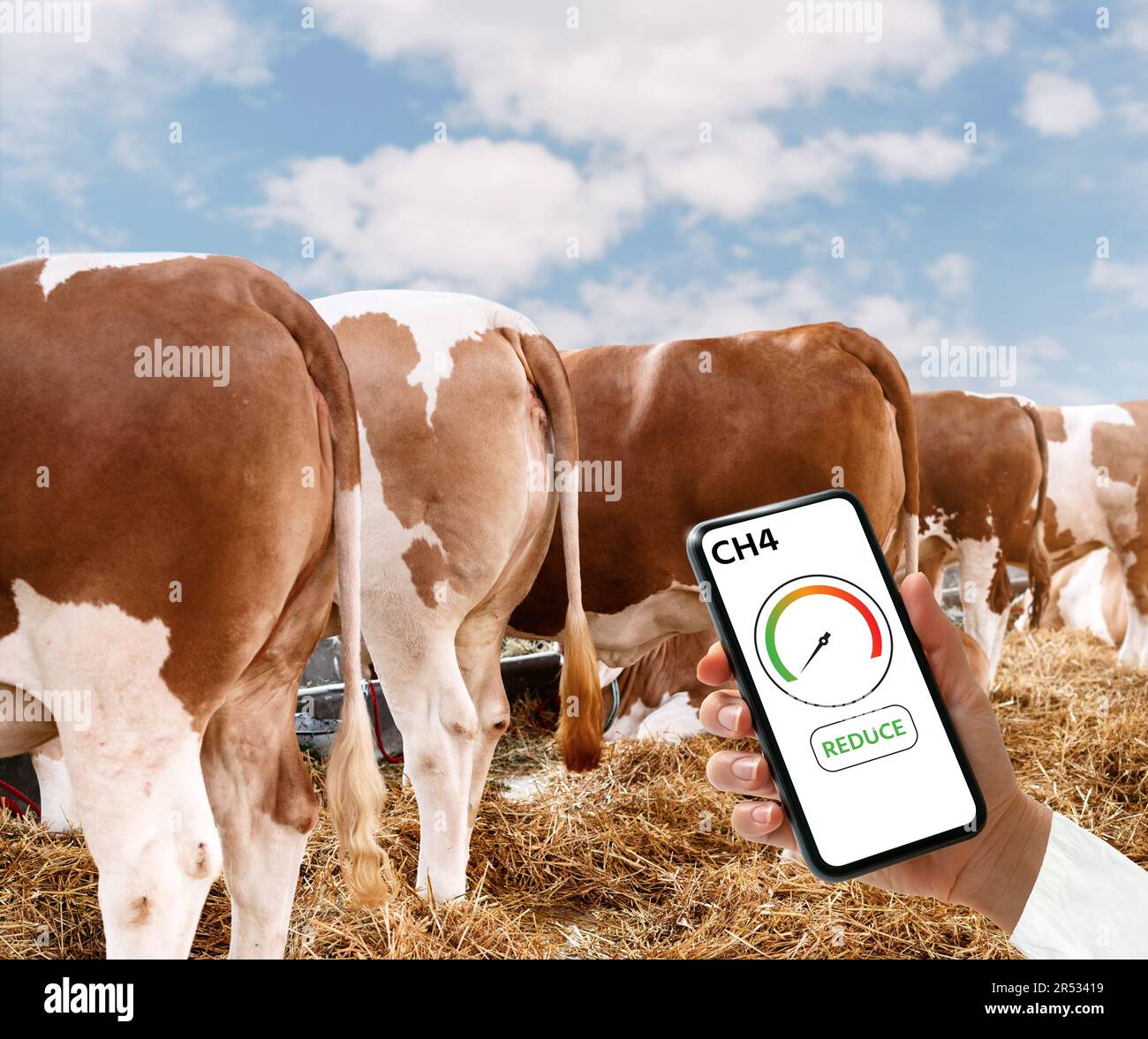 Réduction de CH4 méthane dans les fermes d'élevage. Banque D'Images