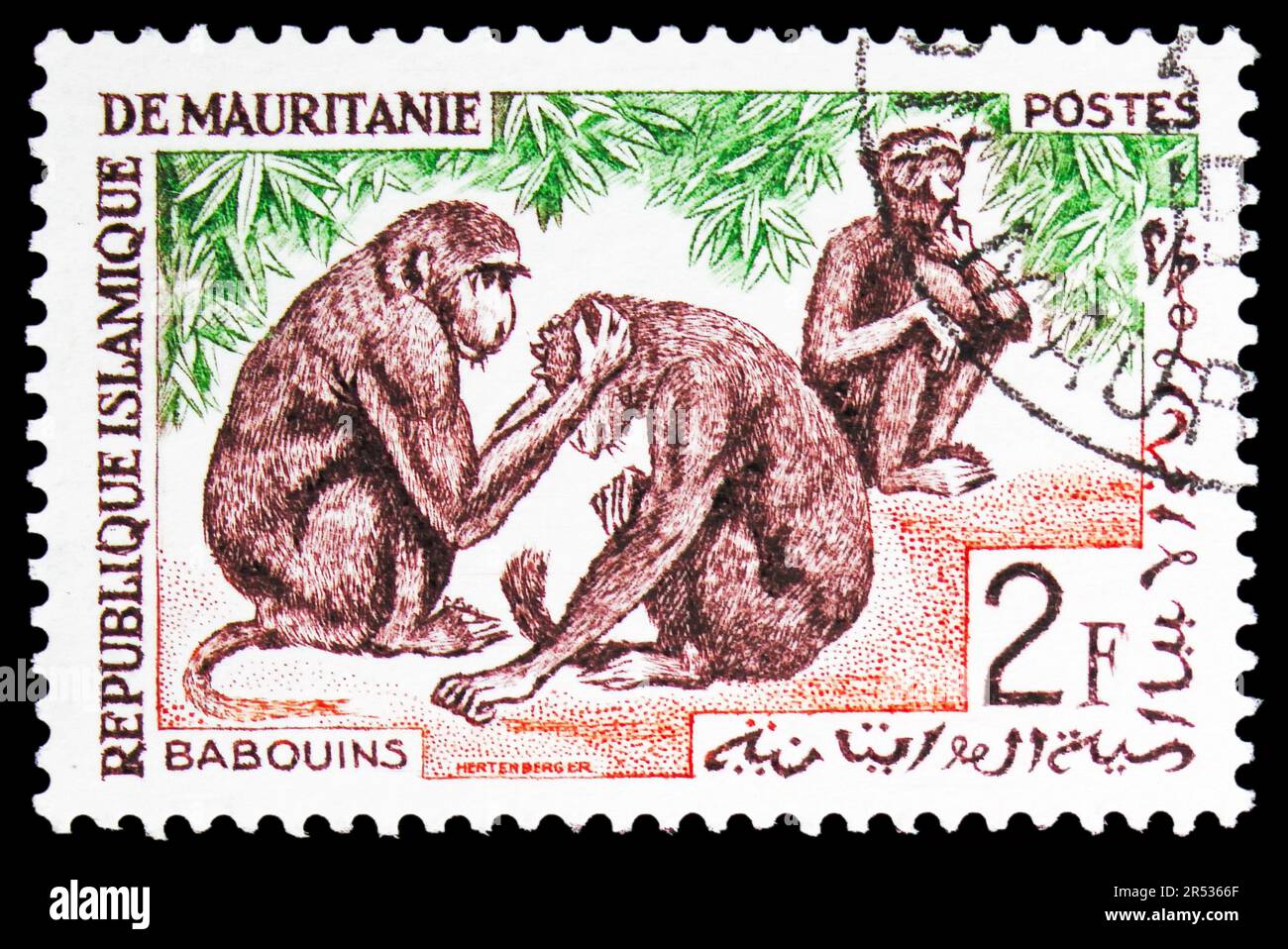 MOSCOU, RUSSIE - 18 MAI 2023 : le timbre-poste imprimé en Mauritanie montre le babouin de Guinée (Papio papio), série de faune indigène, vers 1963 Banque D'Images