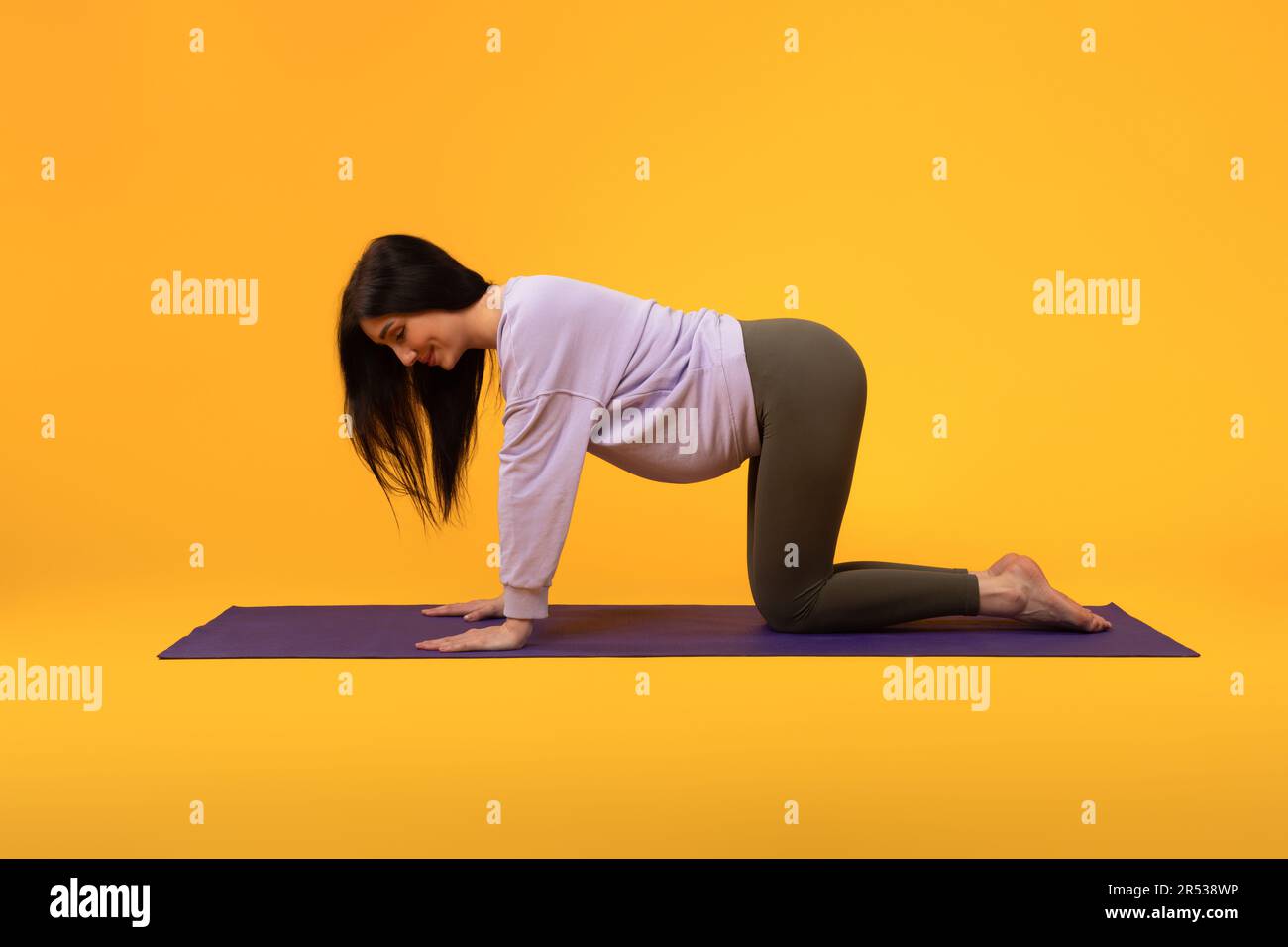 Habitudes saines. Vue latérale de la femme enceinte s'exerçant sur un tapis de yoga, pratiquant des sports sur fond jaune Banque D'Images