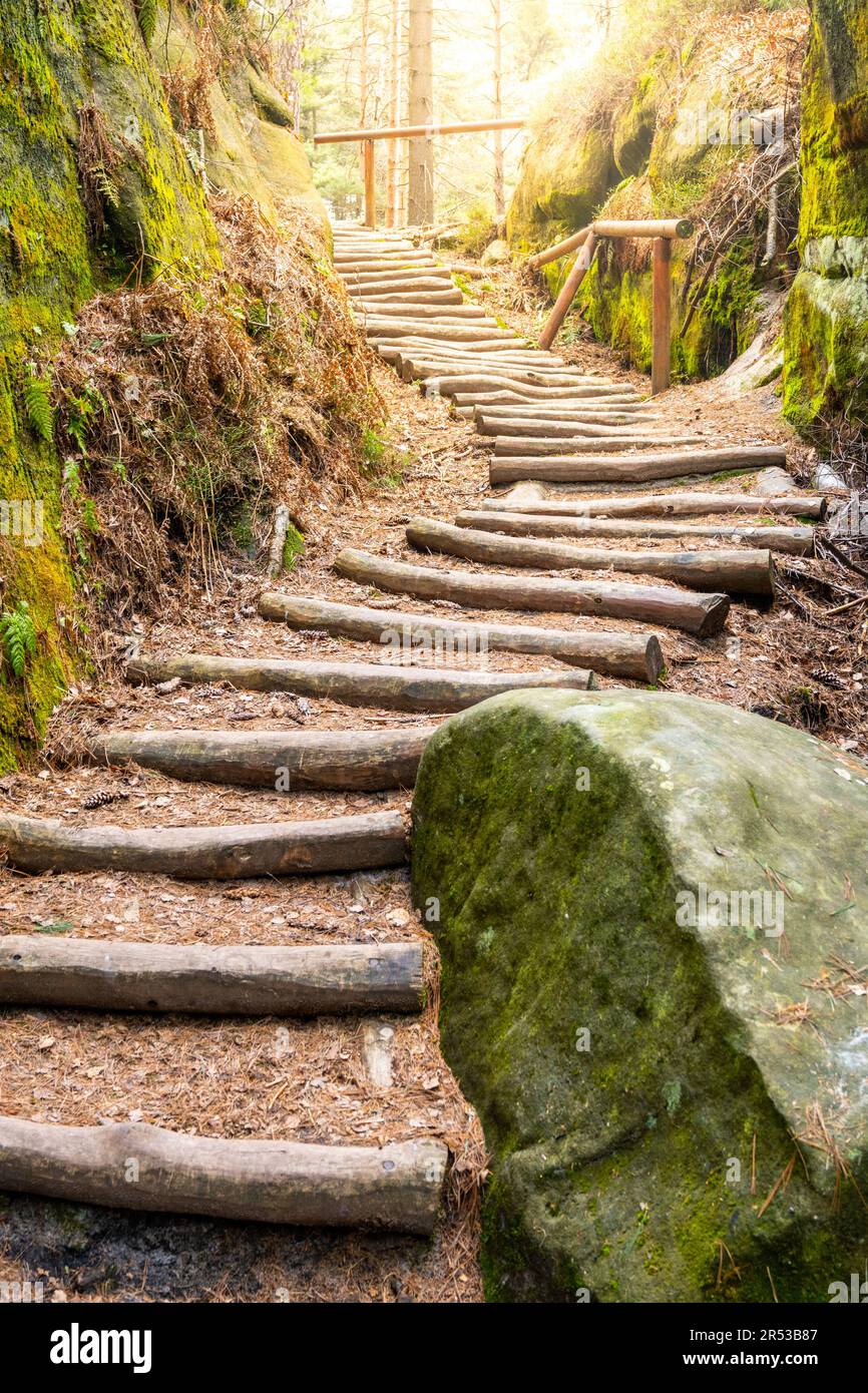 Escalier forestier sur le chemin touristique près de la zone de grès Drabovna, Bohemian Paradise, République tchèque Banque D'Images