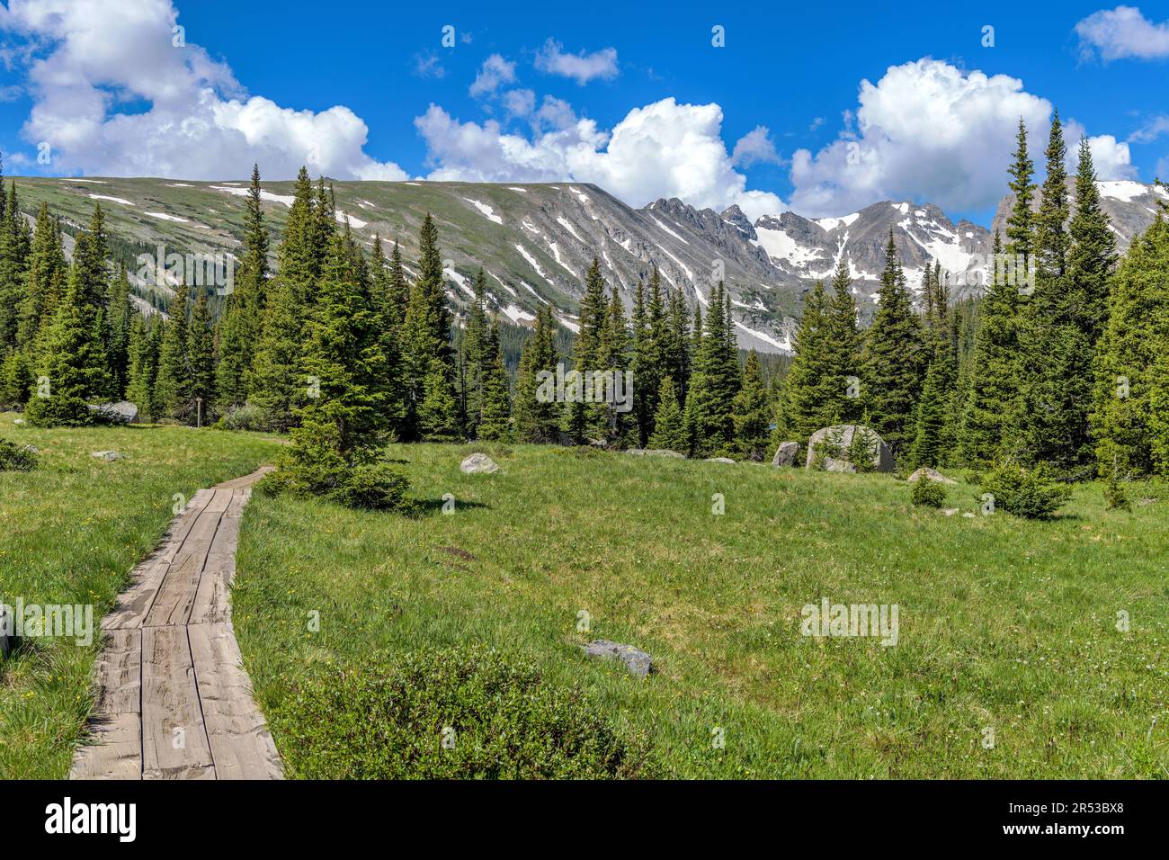 Sentier BoardWalk Mountain - Une section de promenade du sentier long Lake qui s'enroule vers la forêt à feuilles persistantes et les pics indiens. Indian Peaks Wilderness, Colorado, États-Unis. Banque D'Images