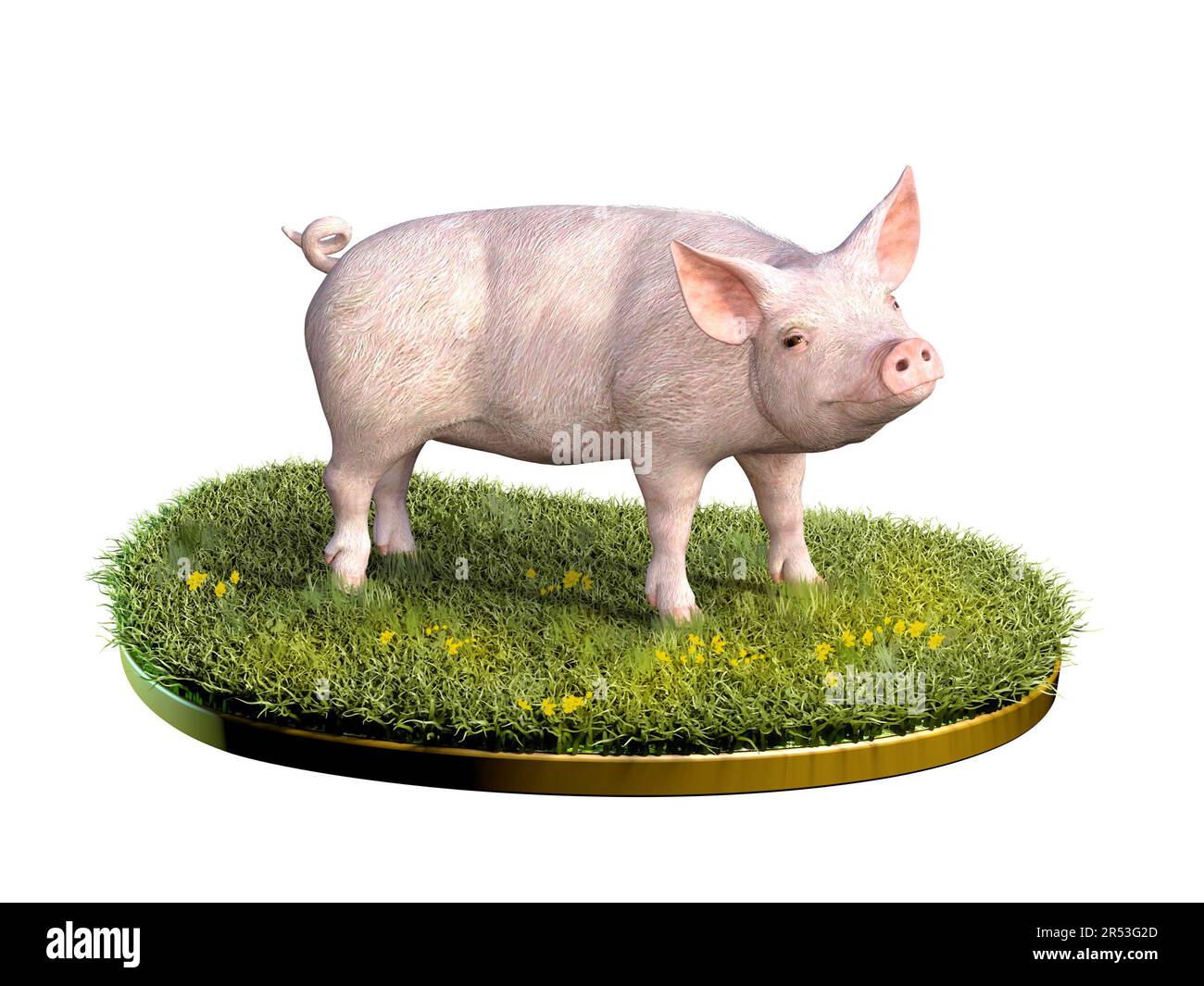 Mignon cochon dans une bande d'herbe verte. Illustration numérique, rendu 3D. Banque D'Images
