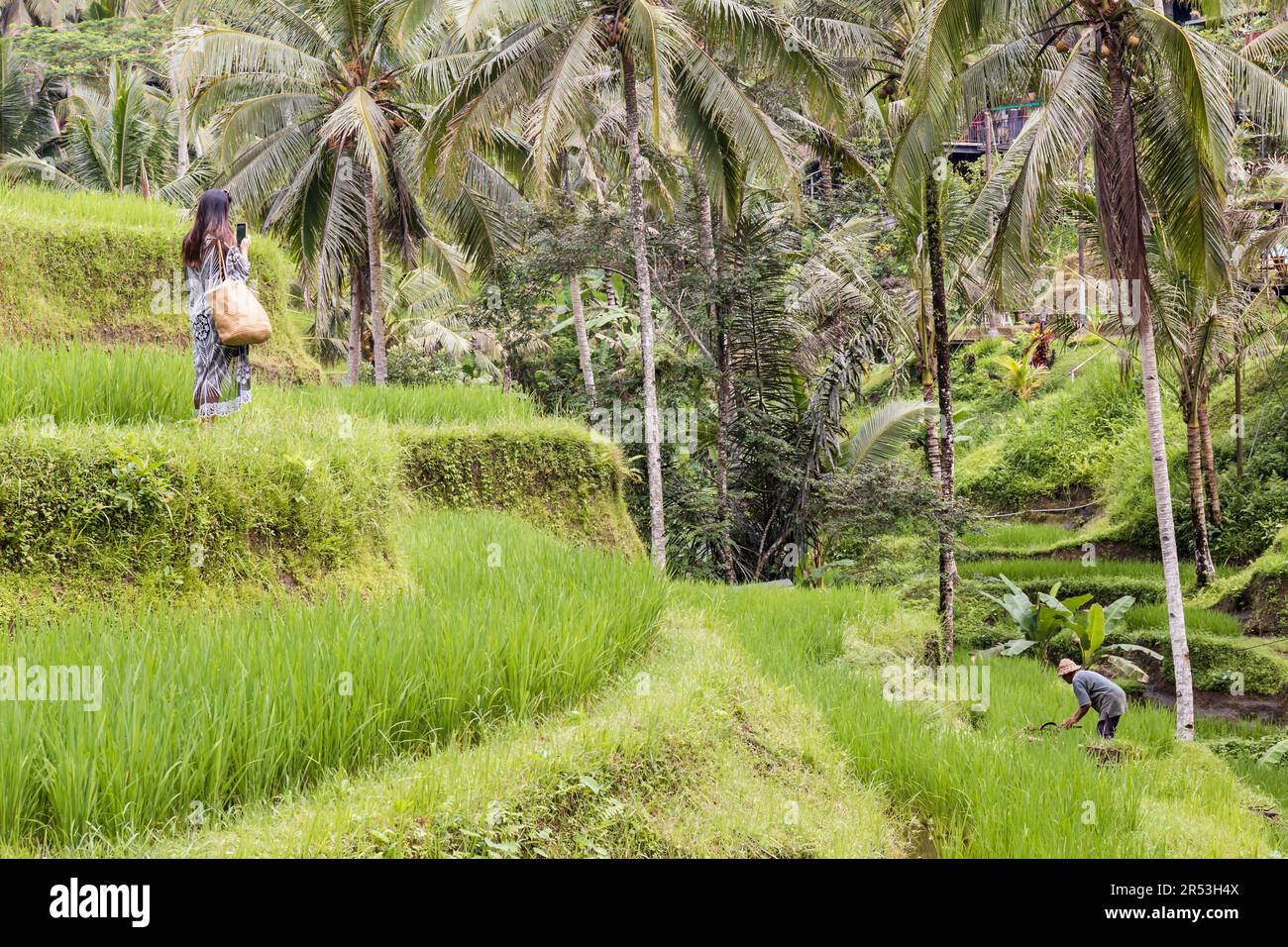 Bali, Indonésie - 04-28-2023: Champ de riz à Ubud avec un touriste et un fermier Banque D'Images