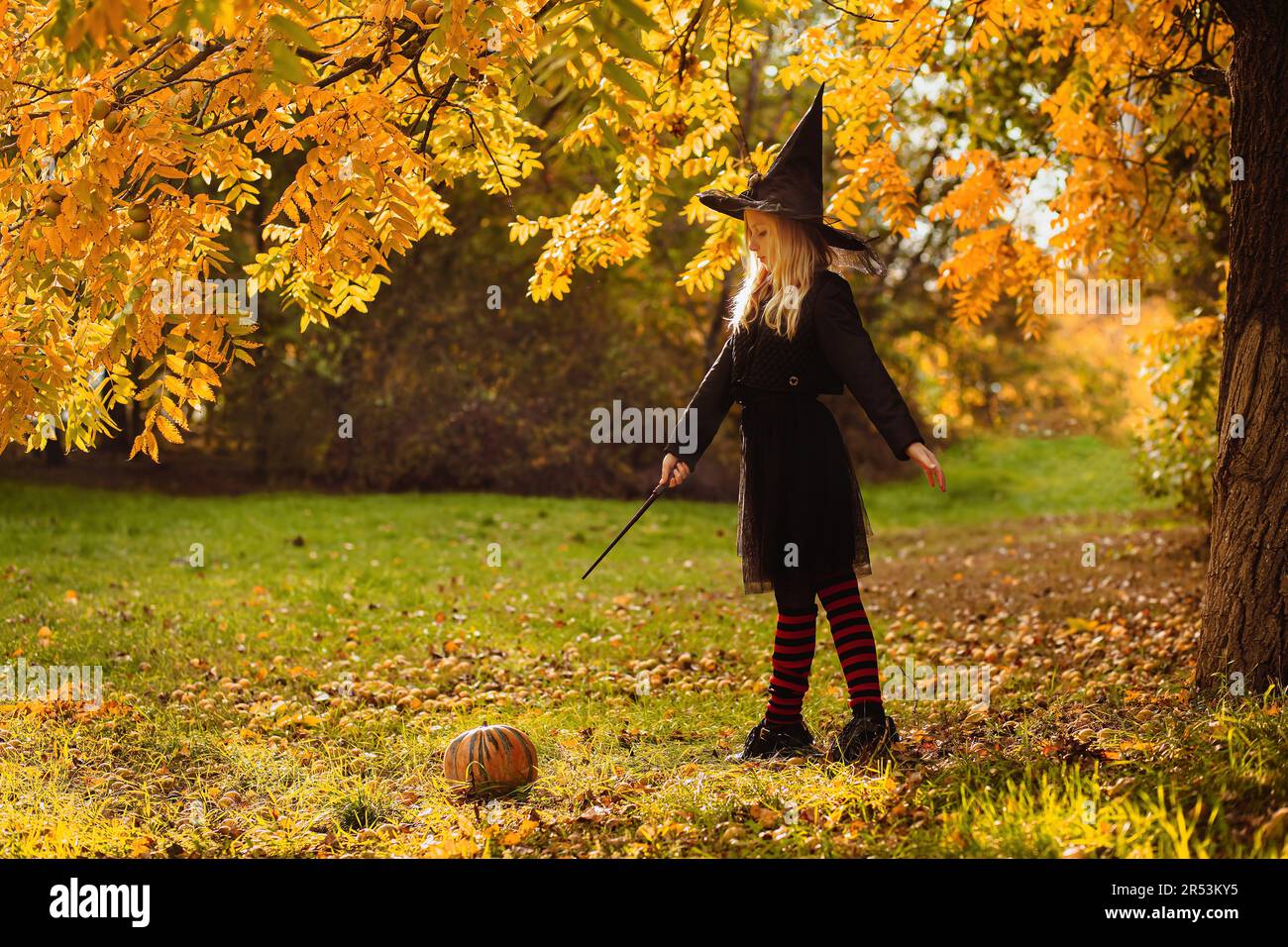 Une fille dans un costume de sorcière dit un sort et enchante une citrouille avec une baguette magique. Banque D'Images