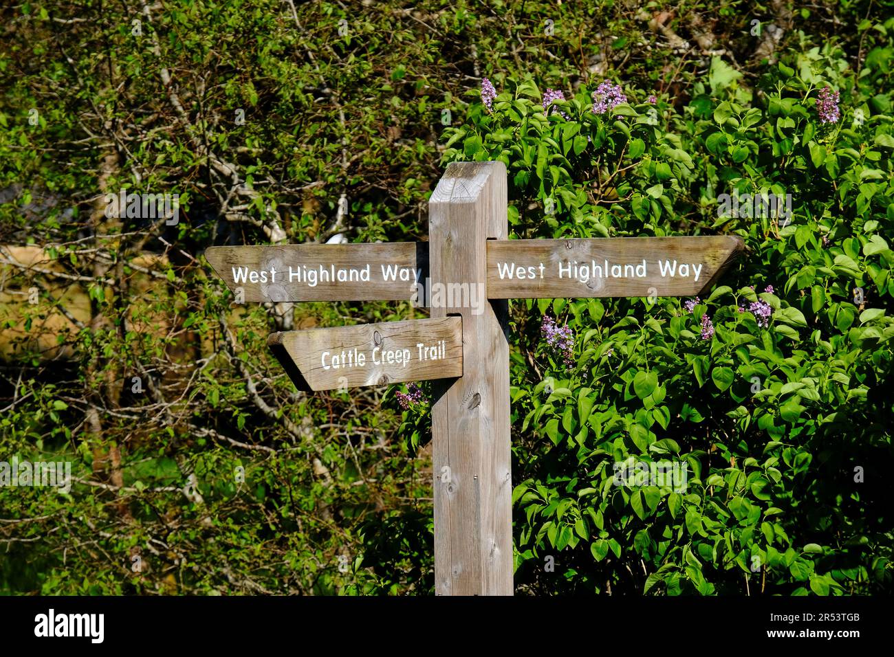 Panneau Fingerpost pour le Cattle Creep Trail et la West Highland Way, Tyndrum, Écosse Banque D'Images