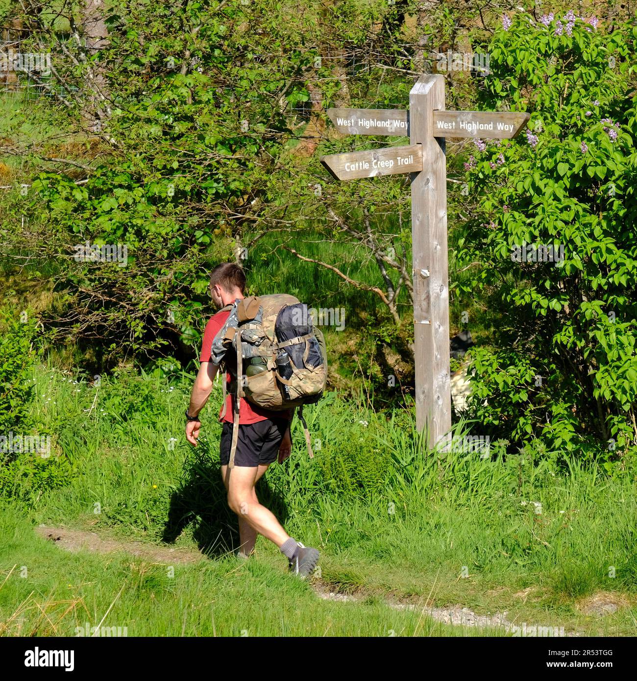 Walker passant un panneau Fingerpost pour le sentier Cattle Creep Trail et la West Highland Way, Tyndrum, Écosse Banque D'Images