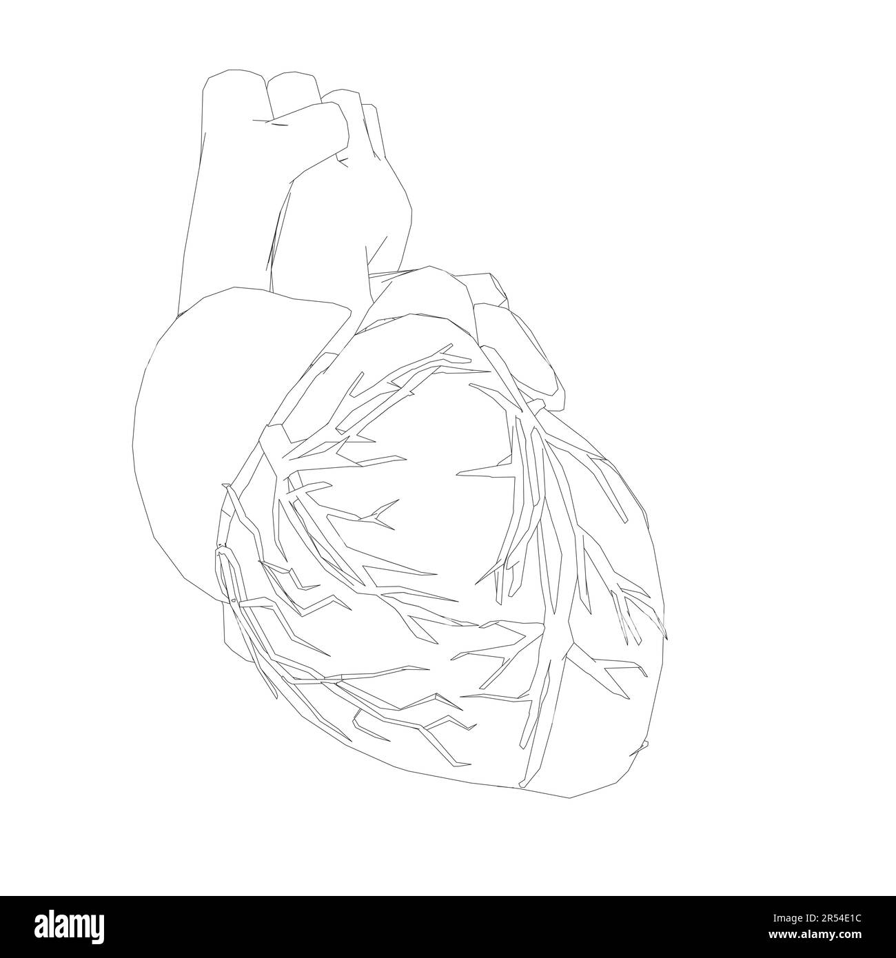 Dessin réaliste de vecteur de coeur humain organes humains Creative abstrait art fond concept branché. Contour image simple couleur noir et blanc vecteur C Illustration de Vecteur