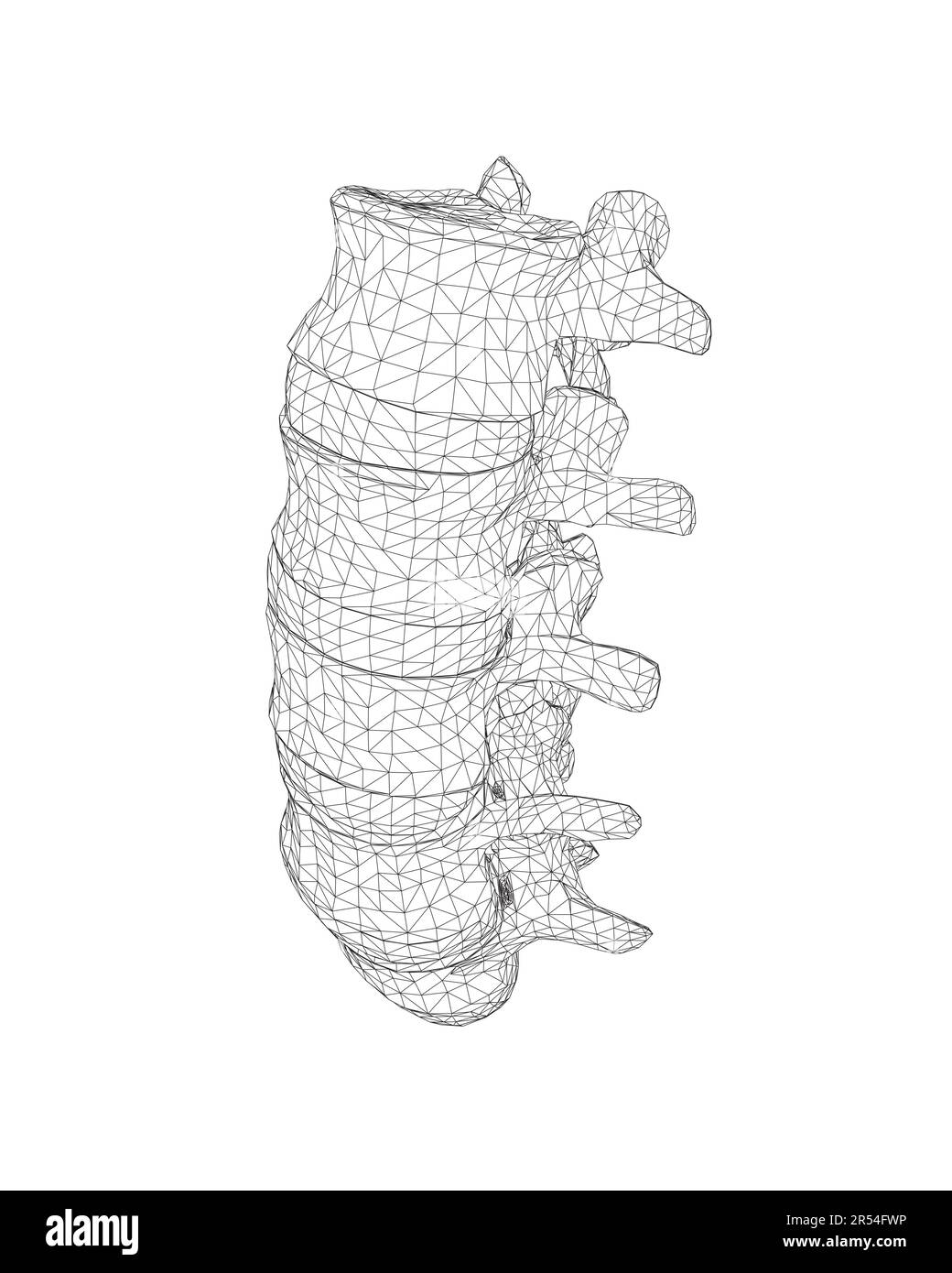 Illustration vectorielle, symbole de diagnostic de dos, conception, signe. Icône vecteur. Conception de ligne. OS et structure de la colonne vertébrale. Médecine et anatomie. Wiref anatomique Illustration de Vecteur