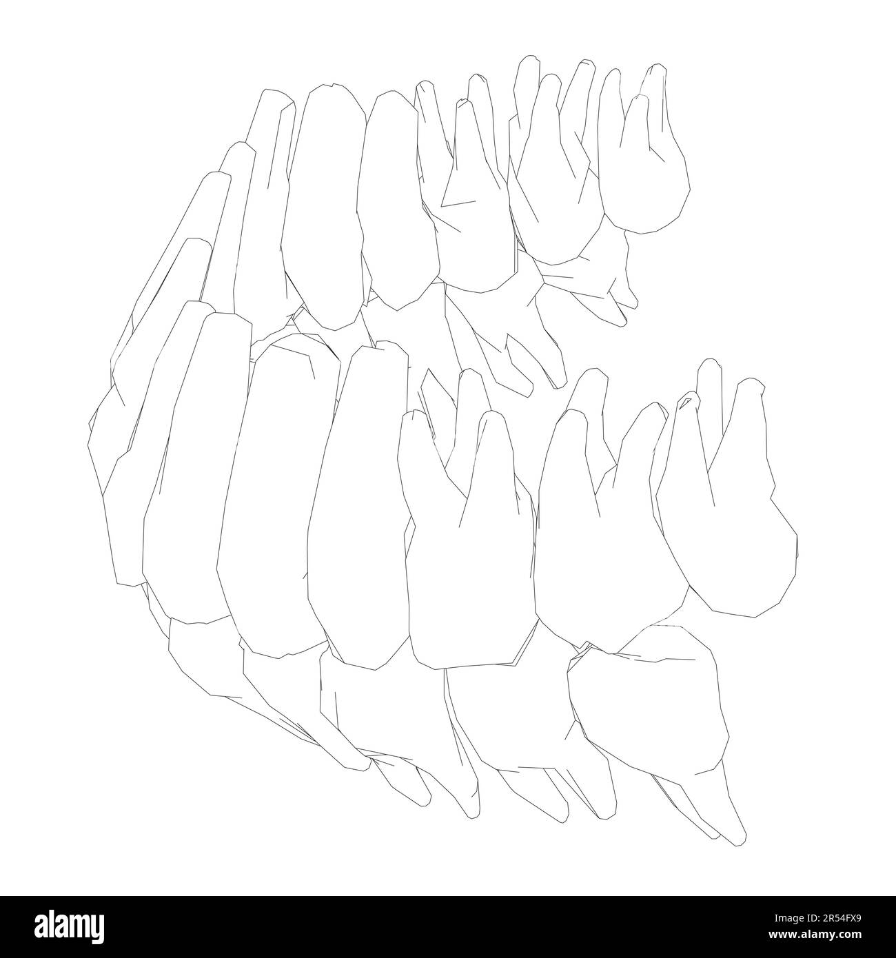Contour des dents. Différents types de collection de dents humaines dessinés à la main. Modèle graphique pour dentiste. Fangs de gravure et molaires. Soins dentaires oraux. Mal de dents Illustration de Vecteur