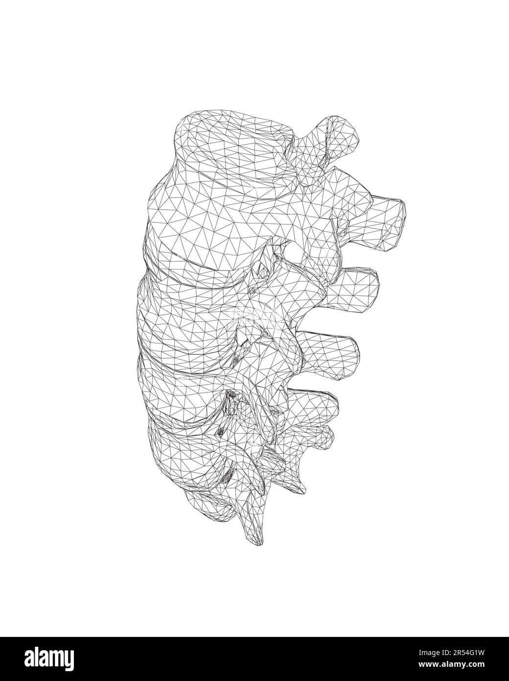 Illustration vectorielle, symbole de diagnostic de dos, conception, signe. Icône vecteur. Conception de ligne. OS et structure de la colonne vertébrale. Médecine et anatomie. Wiref anatomique Illustration de Vecteur