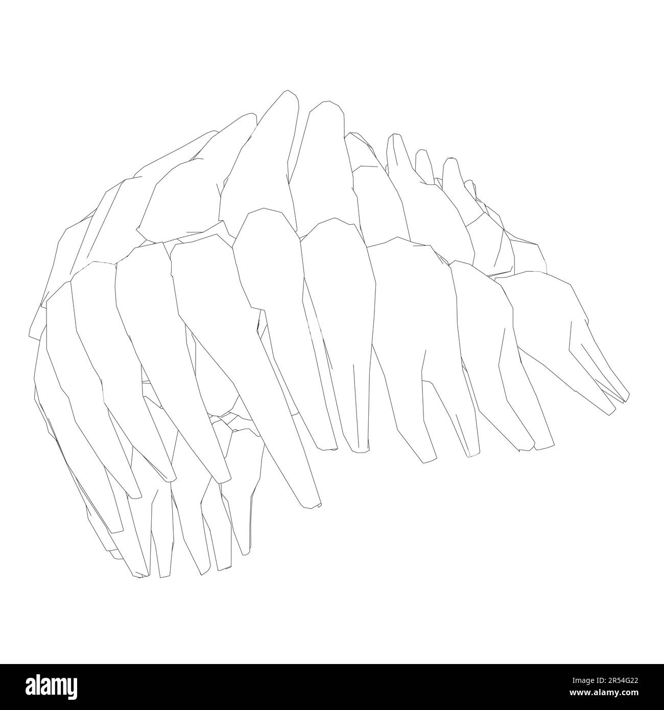 Contour des dents. Différents types de collection de dents humaines dessinés à la main. Modèle graphique pour dentiste. Fangs de gravure et molaires. Soins dentaires oraux. Mal de dents Illustration de Vecteur
