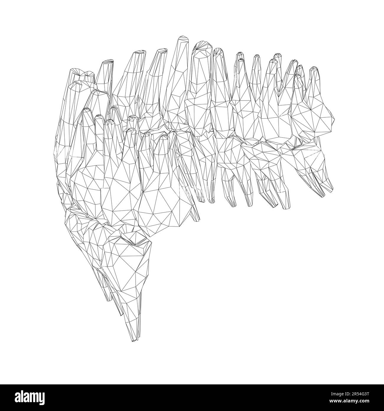 Dents filaires. Différents types de collection de dents humaines dessinés à la main. Modèle graphique pour dentiste. Fangs de gravure et molaires. Soins dentaires oraux. Toothac Illustration de Vecteur