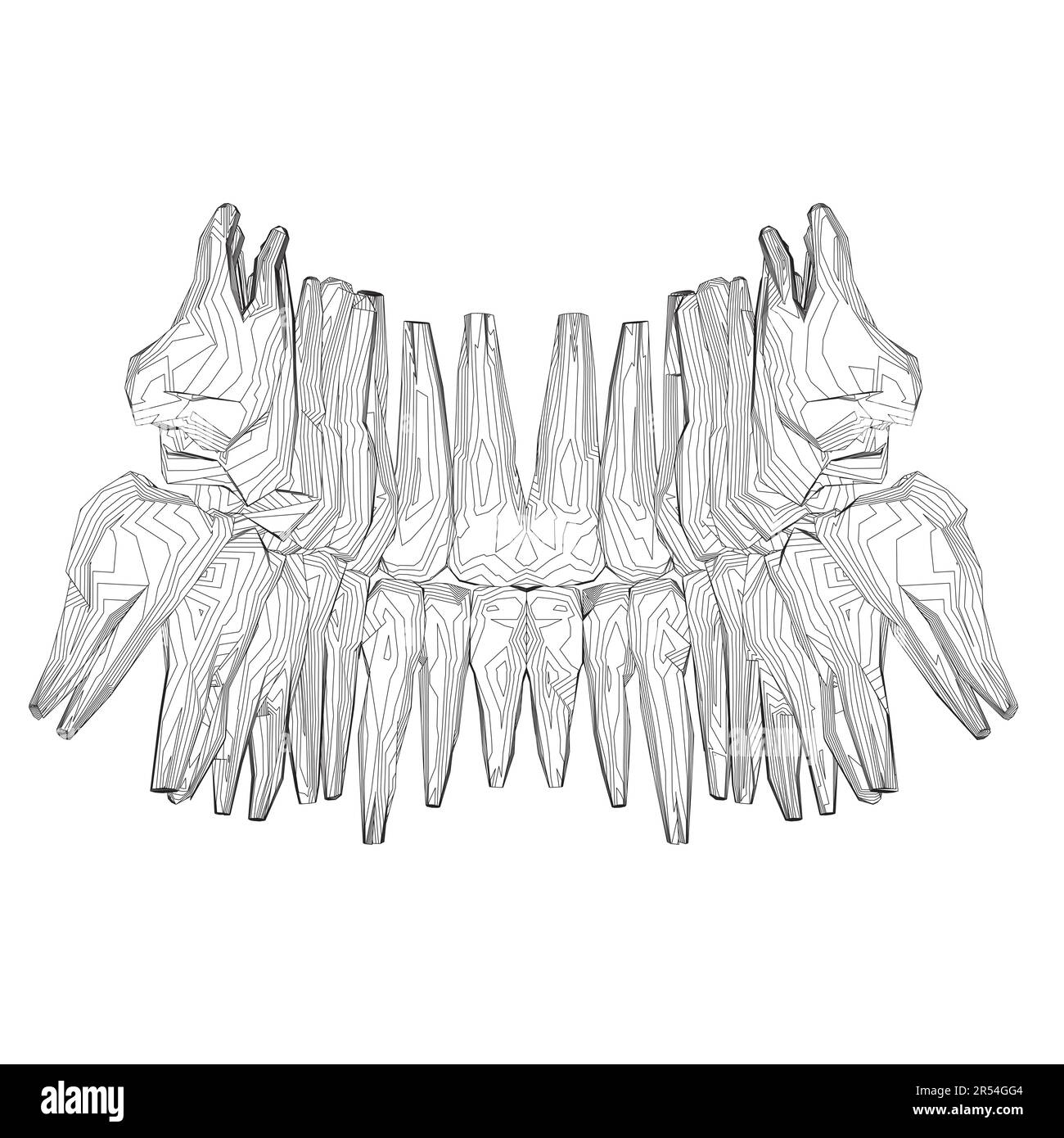 Contour des dents. Différents types de collection de dents humaines dessinés à la main. Modèle graphique pour dentiste. Fangs de gravure et molaires. Soins dentaires oraux. Mal de dents Illustration de Vecteur