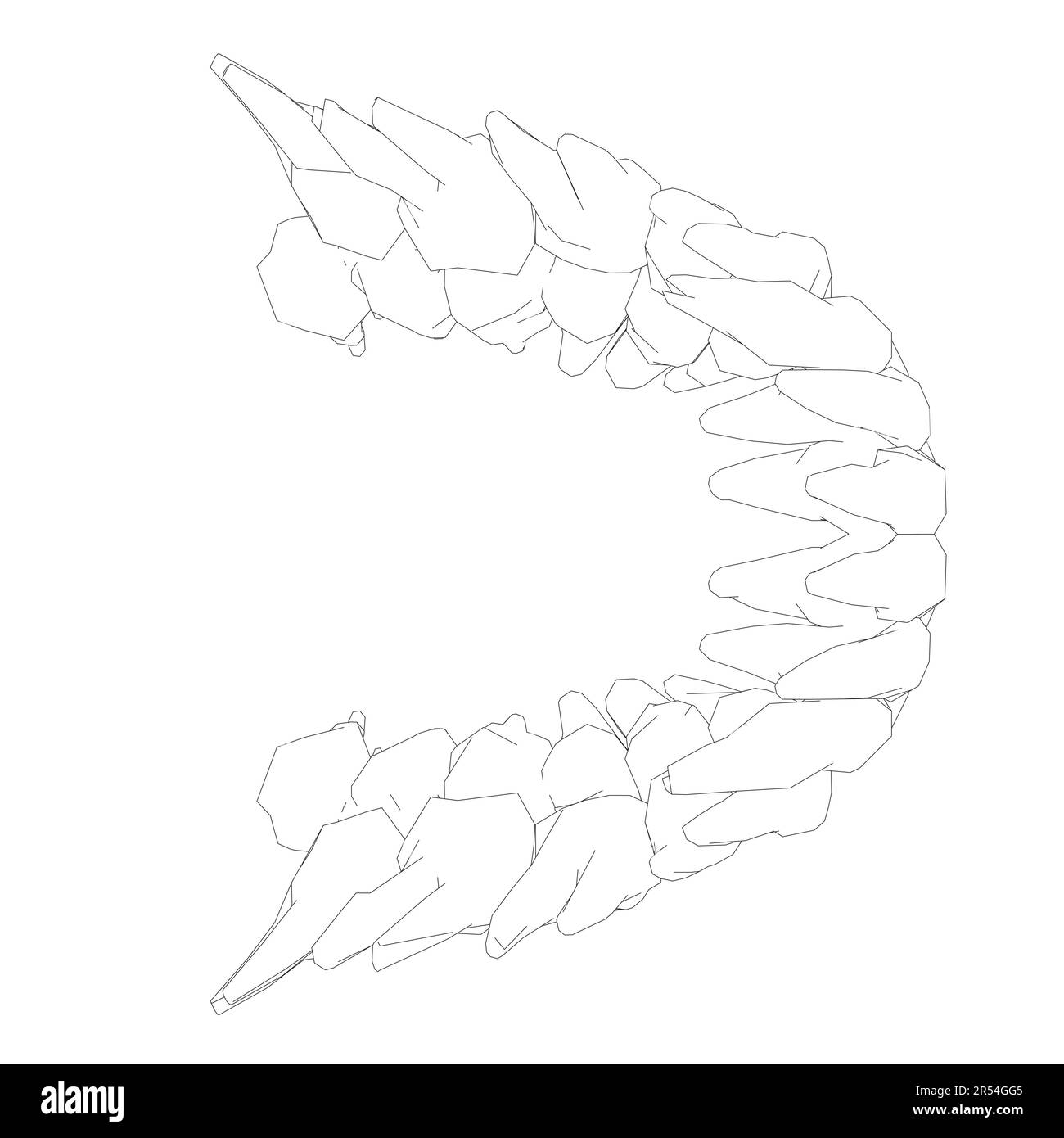 Contour des dents. Différents types de collection de dents humaines dessinés à la main. Modèle graphique pour dentiste. Fangs de gravure et molaires. Soins dentaires oraux. Mal de dents Illustration de Vecteur