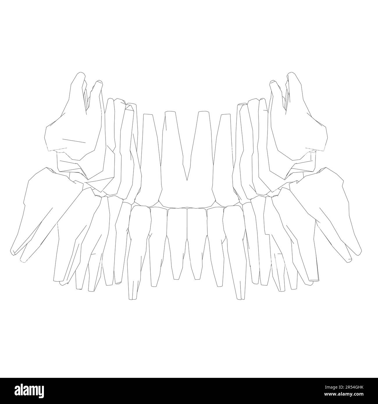 Contour des dents. Différents types de collection de dents humaines dessinés à la main. Modèle graphique pour dentiste. Fangs de gravure et molaires. Soins dentaires oraux. Mal de dents Illustration de Vecteur