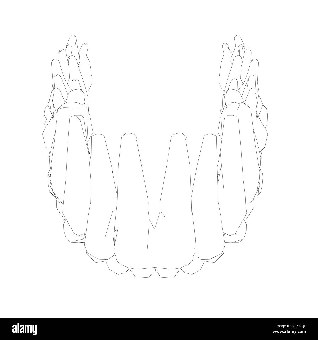 Contour des dents. Différents types de collection de dents humaines dessinés à la main. Modèle graphique pour dentiste. Fangs de gravure et molaires. Soins dentaires oraux. Mal de dents Illustration de Vecteur