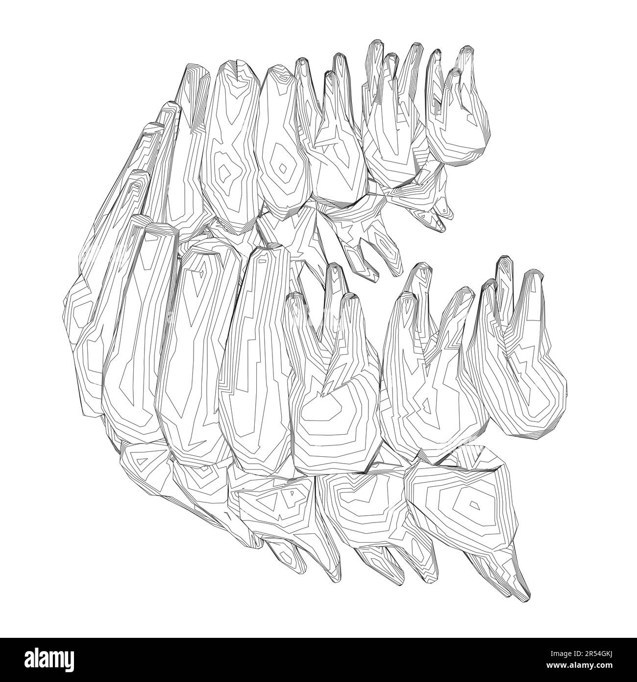 Contour des dents. Différents types de collection de dents humaines dessinés à la main. Modèle graphique pour dentiste. Fangs de gravure et molaires. Soins dentaires oraux. Mal de dents Illustration de Vecteur