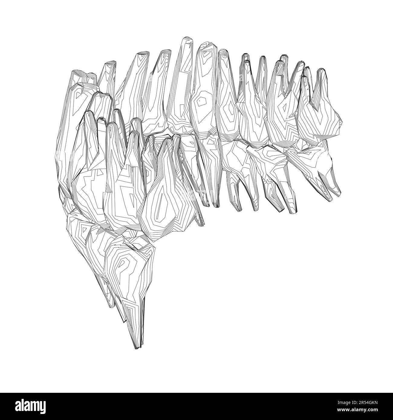 Contour des dents. Différents types de collection de dents humaines dessinés à la main. Modèle graphique pour dentiste. Fangs de gravure et molaires. Soins dentaires oraux. Mal de dents Illustration de Vecteur