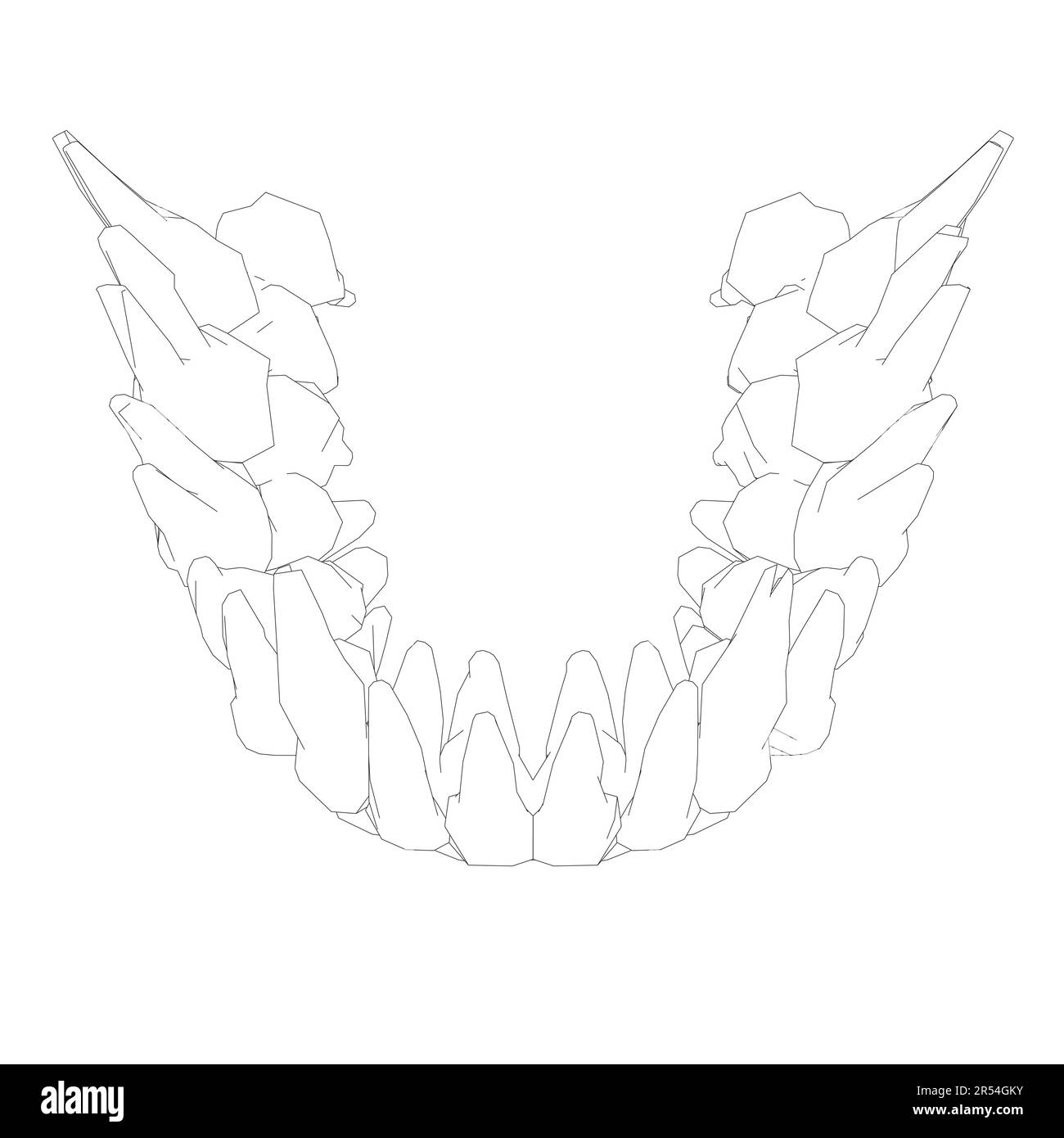 Contour des dents. Différents types de collection de dents humaines dessinés à la main. Modèle graphique pour dentiste. Fangs de gravure et molaires. Soins dentaires oraux. Mal de dents Illustration de Vecteur