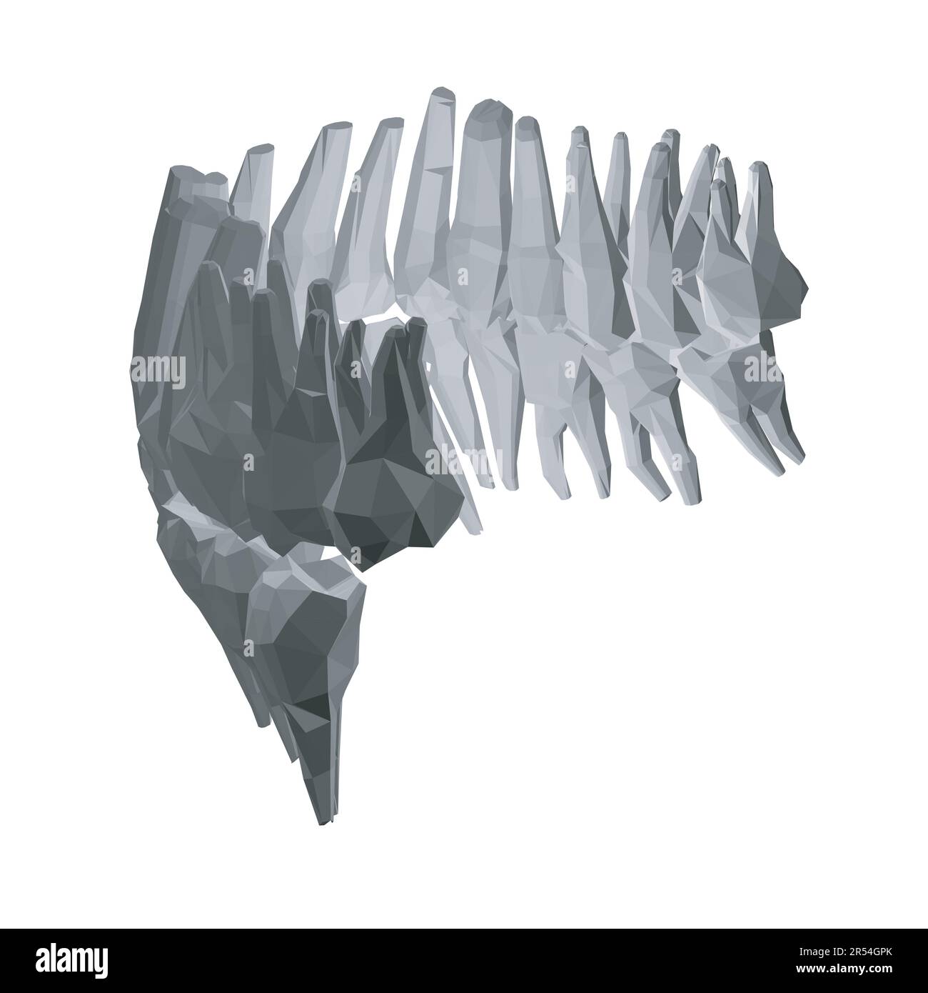 Dents polygonales. Différents types de collection de dents humaines dessinés à la main. Modèle graphique pour dentiste. Fangs de gravure et molaires. Soins dentaires oraux. Toothac Illustration de Vecteur