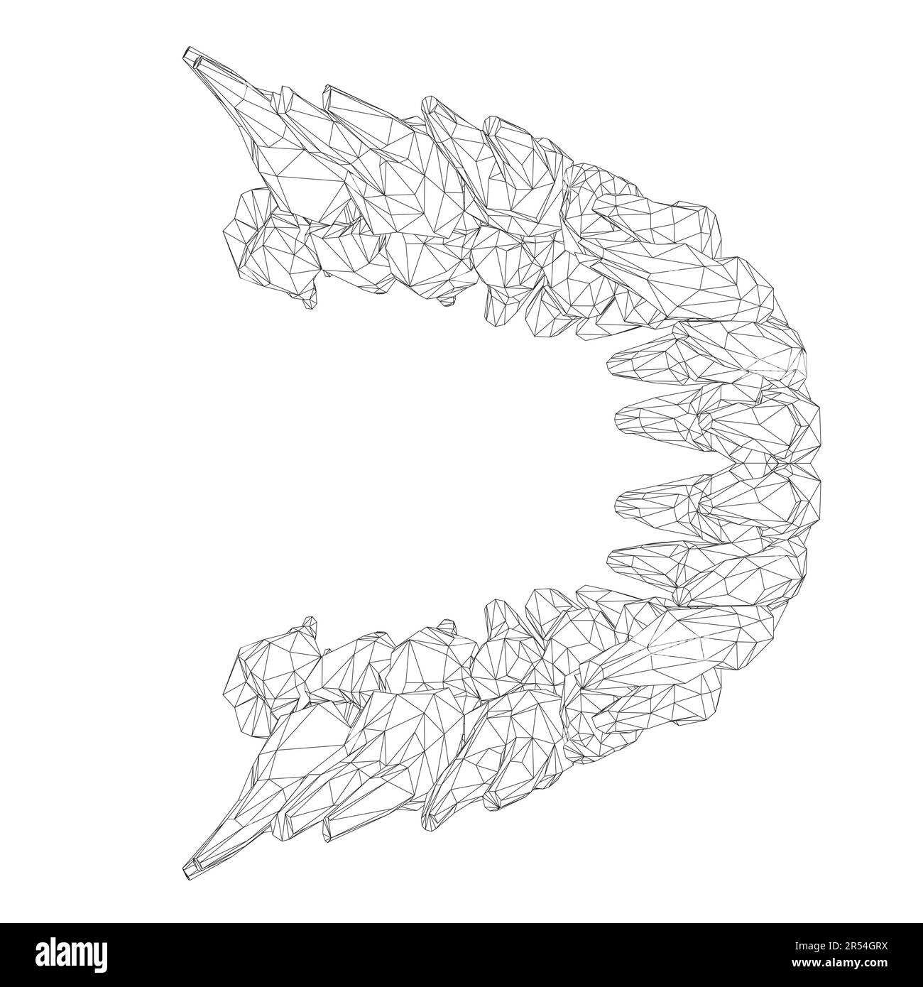 Dents filaires. Différents types de collection de dents humaines dessinés à la main. Modèle graphique pour dentiste. Fangs de gravure et molaires. Soins dentaires oraux. Toothac Illustration de Vecteur