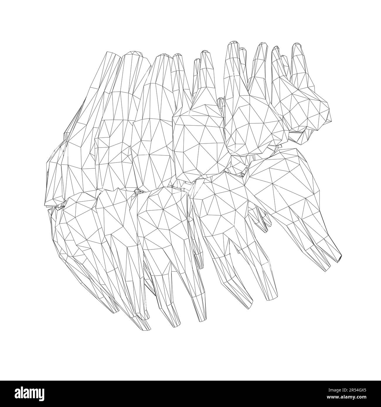 Dents filaires. Différents types de collection de dents humaines dessinés à la main. Modèle graphique pour dentiste. Fangs de gravure et molaires. Soins dentaires oraux. Toothac Illustration de Vecteur
