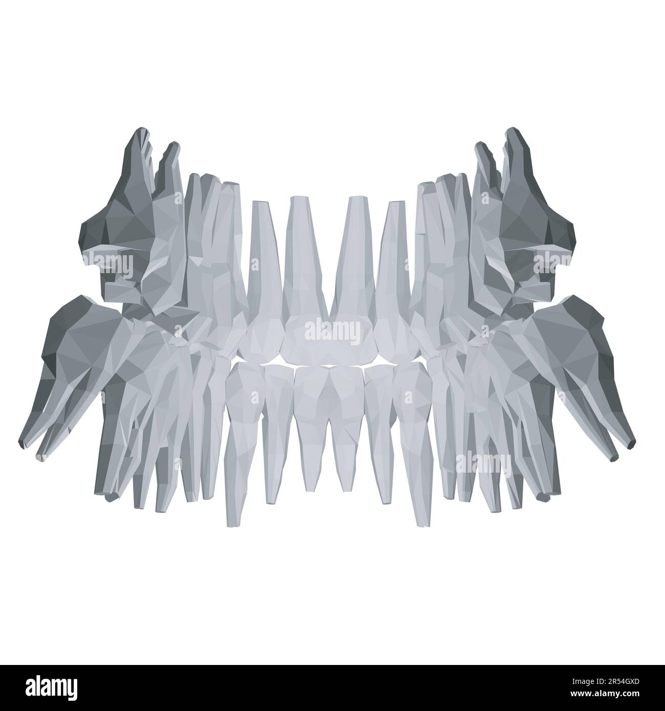 Dents polygonales. Différents types de collection de dents humaines dessinés à la main. Modèle graphique pour dentiste. Fangs de gravure et molaires. Soins dentaires oraux. Toothac Illustration de Vecteur