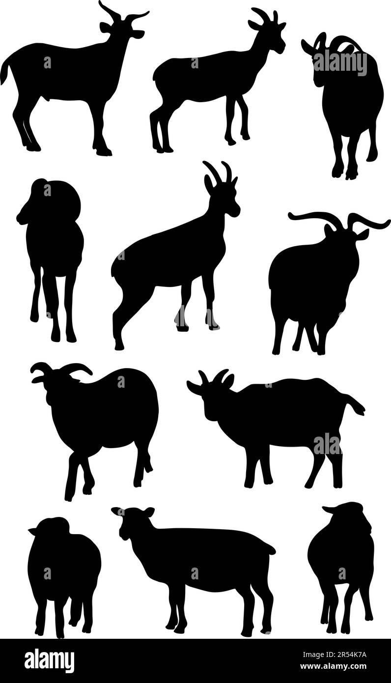 Collection silhouettes RAM et chèvre. Illustration vectorielle. Dessins isolés à la main animaux de ferme sur fond blanc pour la conception Illustration de Vecteur