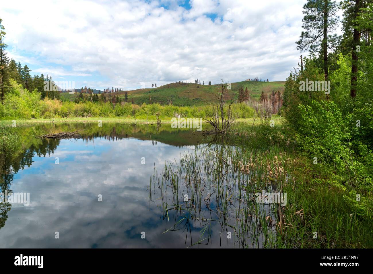 Image horizontale de Beaver Pond, près de Chickadee Trailhead, près de Sun Mountain Lodge, dans le comté d'Okanogan, Washington, États-Unis. Banque D'Images