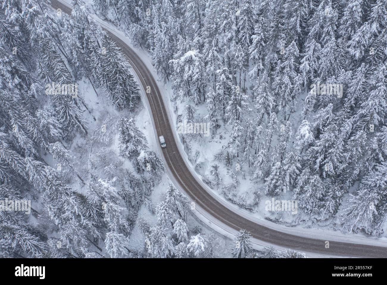 Route de montagne sinueuse et sinueuse dans une forêt de pins avec voiture mobile pendant la chute de neige Banque D'Images
