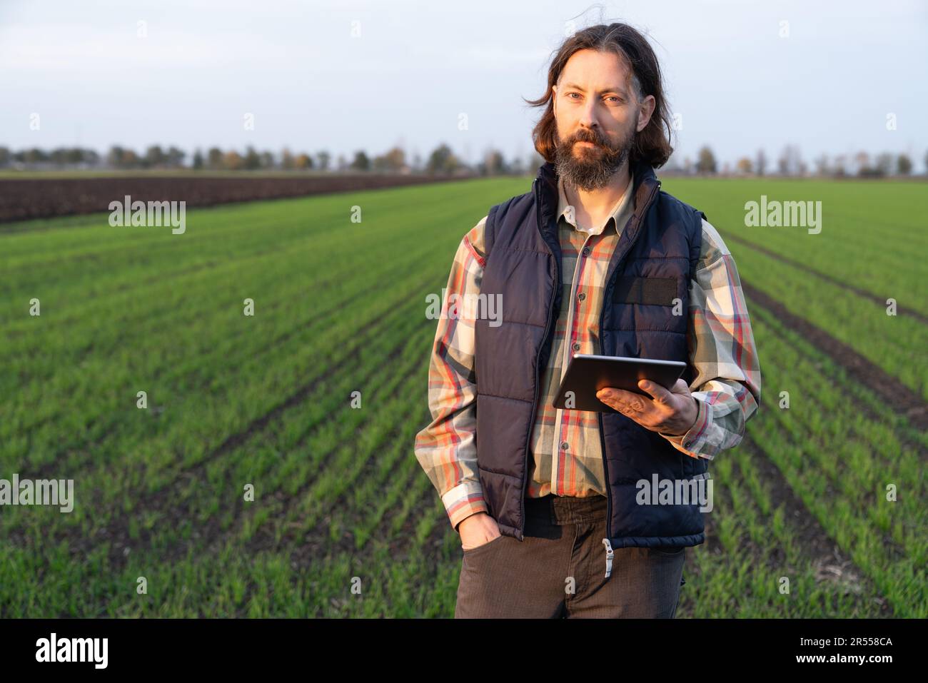 Agriculteur avec une tablette numérique dans un jeune champ de blé. Agriculture intelligente et agriculture numérique. Banque D'Images