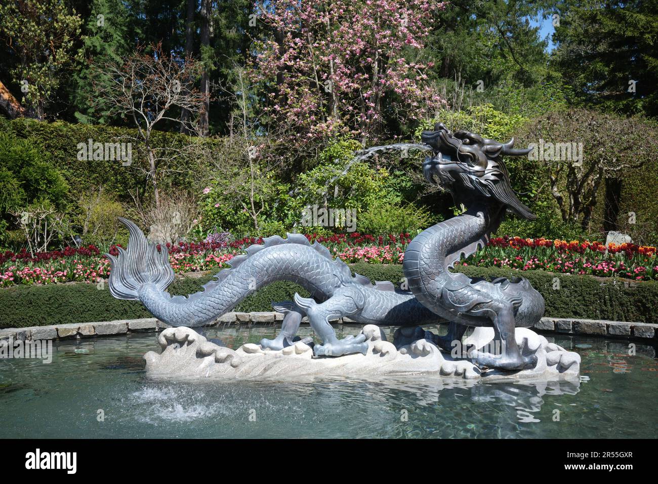 Fontaine du dragon aux jardins Butchart, Victoria, île de Vancouver, Colombie-Britannique, Canada Banque D'Images