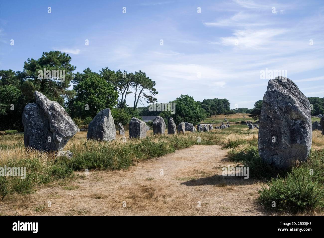 Carnac (Bretagne, Nord-Ouest de la France) : les menhirs, pierres debout Banque D'Images