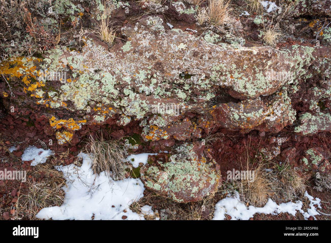 Vue rapprochée de roche volcanique rouge foncé incrustée de lichens vert pâle et jaune et de neige au Capulin Volcano National Monument, Nouveau-Mexique. Banque D'Images